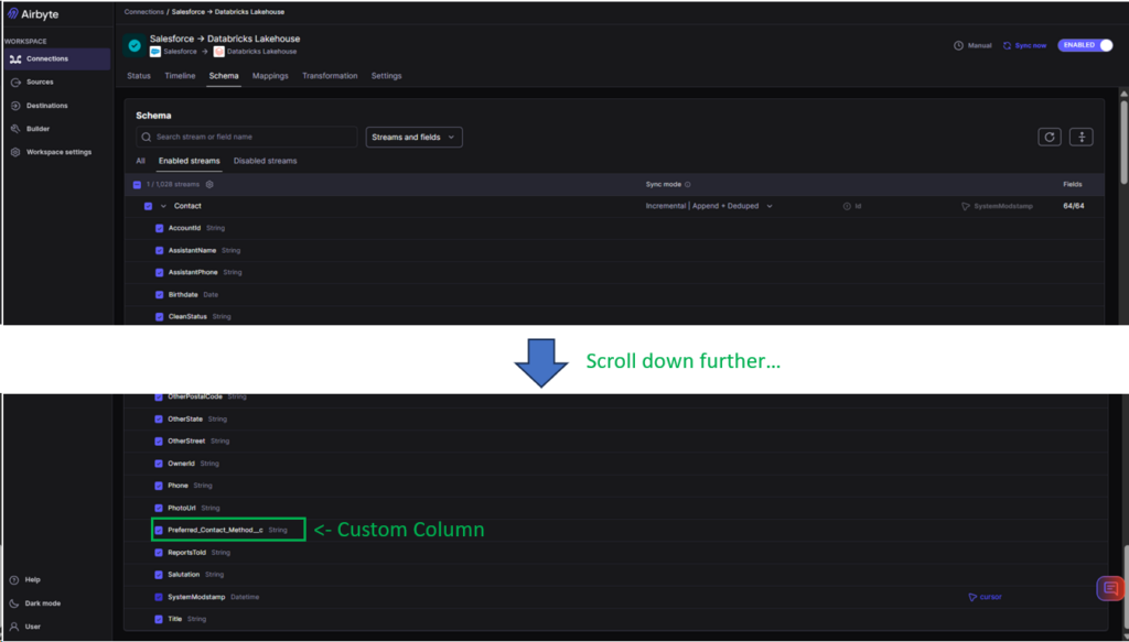 Airbyte Salesforce Databricks connection custom column