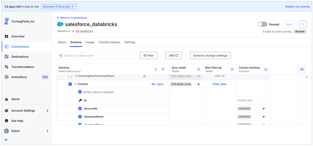 Setting Up the Salesforce to Databricks Data Pipeline in Fivetran