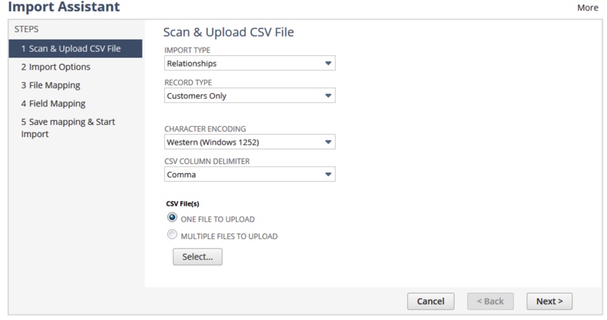 NetSuite Import Assistant.