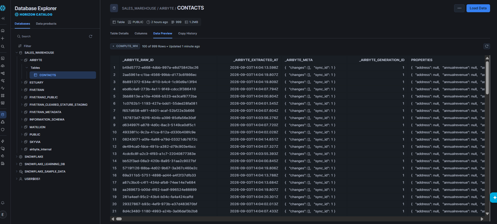 Results in Snowflake: contacts