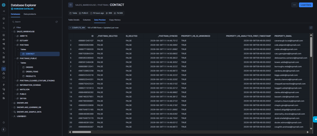Results in Snowflake: HubSpot contacts data