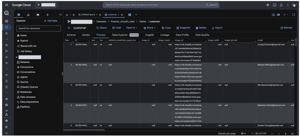 Shopify customer data output in BigQuery