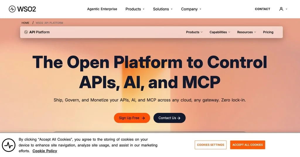 WSO2 API Platform